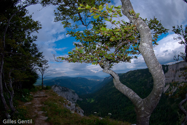 Sentier au bord du cirque